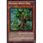 中古遊戯王 HA04-EN051[SE]：Naturia White Oak/ナチュル・ホワイトオーク