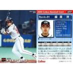 中古スポーツ 77：柴原 洋