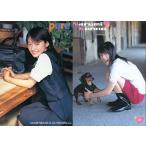 中古コレクションカード(女性) 235：近野成美/雑誌「pure×2」付録トレカ