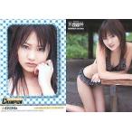 中古コレクションカード(女性) 036 ： 浜田翔子/2005 YC PREMIUM CARD