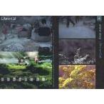 中古コレクションカード(男性) 113：L’arc-en-Cielパーフェクトコレクション
