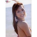 中古生写真(AKB48・SKE48) 高城亜樹/水着/ネ申テレビSPECIAL 特典