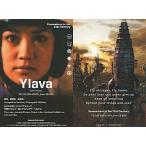 中古アイドル(AKB48・SKE48) 4/8 ： 大島優子/チームドラゴン from CDS「心の羽根」特典カード