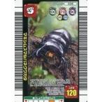 中古ムシキング 036：マキシムスマルバネクワガタ