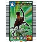 中古ムシキング 025：ヒルトゥスヘラヅノカブト