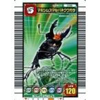 中古ムシキング 036：マキシムスマルバネクワガタ