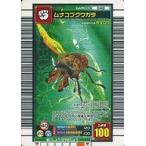 中古ムシキング 048：ムナコブクワガタ