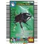 中古ムシキング 067：パプアミツノカブト