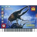 中古ムシキング 033：ヒメカブト