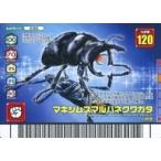 中古ムシキング 036：マキシムスマルバネクワガタ