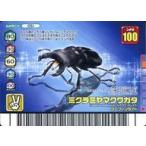 中古ムシキング 051：ミクラミヤマクワガタ