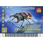 中古ムシキング 064：スティーブンスツヤクワガタ