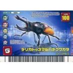 中古ムシキング 066：デリカトゥスマルバネクワガタ