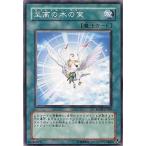 中古遊戯王 RGBT-JP060[NR]：至高の木の実