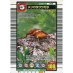 中古ムシキング 008：メンガタクワガタ