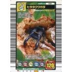 中古ムシキング 012：ヒラタクワガタ