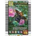 中古ムシキング 039：インペリアリスツヤクワガタ