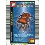 中古ムシキング 008：メンガタクワガタ