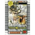 中古ムシキング 036：ハヤブサ