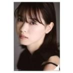 Suruga ya gg012712