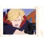 中古アニメ系トレカ 30：アッシュ・リンクス