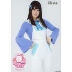 中古生写真(AKB48・SKE48) 矢野帆夏/膝上/AKB48グルー