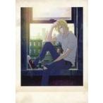 中古アニメ系トレカ 39：アッシュ・リンクス