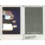 中古コレクションカード(男性) WINNER/集合(4人)/横型・上半身/CD「Our Twenty For: 2nd Single (