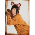 中古生写真(男性) アル