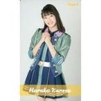 中古アイドル(AKB48・SKE48) 黒須遥香/膝上/AKB48 全