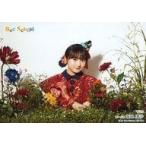 Suruga ya gg199096