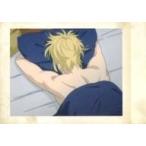 中古アニメ系トレカ 20：アッシュ・リンクス