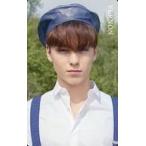 中古コレクションカード(男性) SEVENTEEN/VERNON(バーノン)/野外/「3RD ALBUM「An Ode」発売記念 HMV×SEVENTEENキャンペー