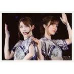 中古生写真(乃木坂46) No.244：