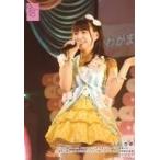 中古生写真(AKB48・SKE48) 山田杏華/ライブフォト・膝