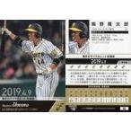 中古BBM 05[レギュラーカード]：梅野隆太郎