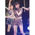 中古生写真(AKB48・SKE48) 石安伊/ライブフォト・膝上