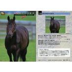 中古スポーツ 172 [レギュラーカード] ： ダイタクヘリオス