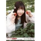 中古生写真(AKB48・SKE48) 07783：日下部愛菜/「新潟
