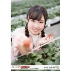 中古生写真(AKB48・SKE48) 07907：古舘葵/「新潟県新