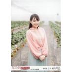 中古生写真(AKB48・SKE48) 07915：三村妃乃/「新潟県