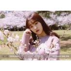 中古生写真(AKB48・SKE48) 田島芽瑠/横型・バストアッ