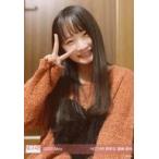 中古生写真(AKB48・SKE48) 諸橋姫向/上半身・衣装茶色