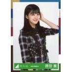 中古生写真(坂道シリーズ) 原田葵/上半身/2020-SPRING