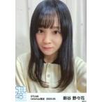 中古生写真(AKB48・SKE48) 新谷野々花/バストアップ・
