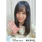 中古生写真(AKB48・SKE48) 新谷野々花/バストアップ・