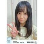 中古生写真(AKB48・SKE48) 新谷野々花/バストアップ・