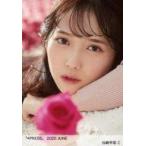 中古生写真(女性) C：ノットイコールミー(≠ME)/谷崎早