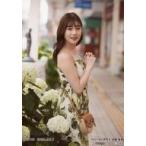 中古生写真(AKB48・SKE48) 加藤美南/膝上/NGT48 5thシ