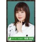 中古生写真(坂道シリーズ) 尾関梨香/バストアップ/202